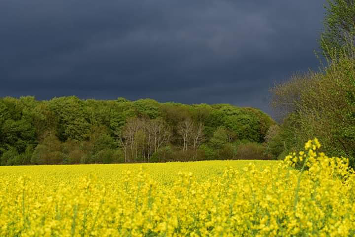 Frühling